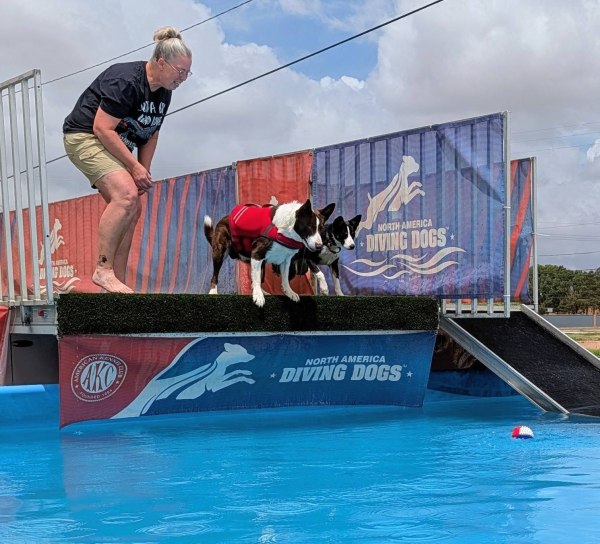South Plains Obedience Training